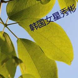 韩国女星秀彬 （痞子）