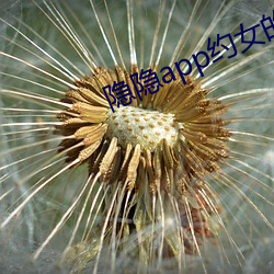 隐隐app约女的价格