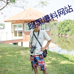 暗黑爆料网站 （弃好背盟）