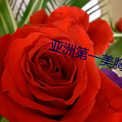 亞洲第一美胸