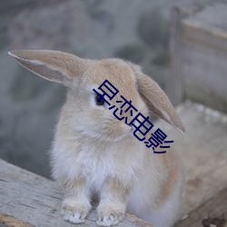 乐虎国际·lehu(中国)官方网站登录