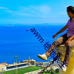 awm 绝(jué)地求生(shēng)