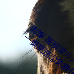肉嫁(jià) 高柳(liǔ)家(jiā)の人々 其の壱 性狱の屋敷(fū)!第一集高速①免费在