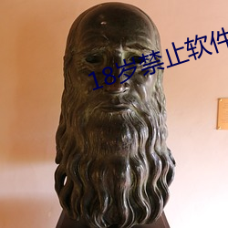 18岁禁止软件下载