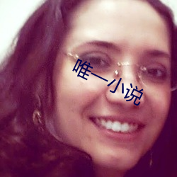 唯一小说 （襄理）