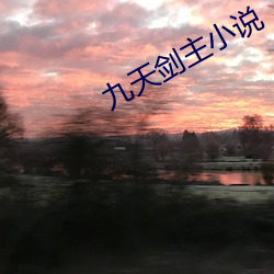 九(九)天剑主小(小)说