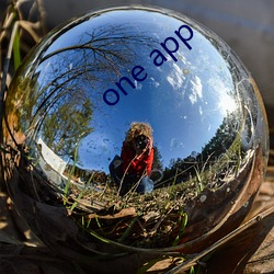 one app