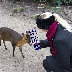 玉台碧