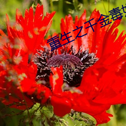 米乐M6·(中国)官方网站