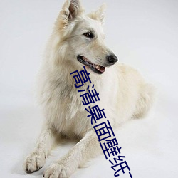 高清桌面(面)壁(壁)纸下(下)载(載)