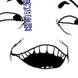 婚前試愛小說