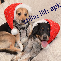 shiliu llih apk