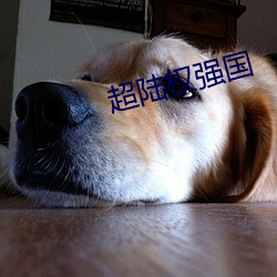 ½Ȩǿ