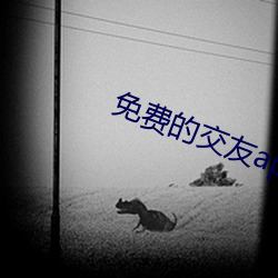 免费的交友app哪个好