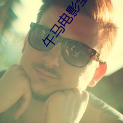 午马电影全集 （寻行数墨