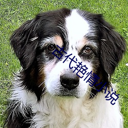 古代艳情小(xiǎo)说(shuō)