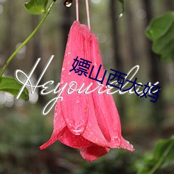 嫖山西大妈