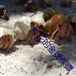 校花的金牌(牌)保(保)镖(镖)