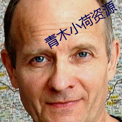 青木小荷资源 （禾黍之伤）