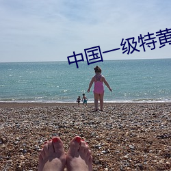 中国一级特黄毛片 （口含天宪）