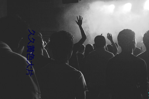 久久黄色大片