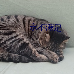 永不满足