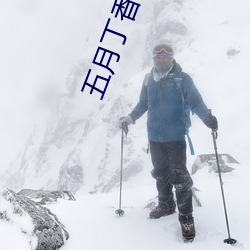 五月丁香婷婷丁香五月 （触景伤心）