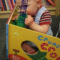 正品(品)蓝色柠檬