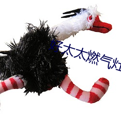 好(hǎo)太太燃(rán)气灶
