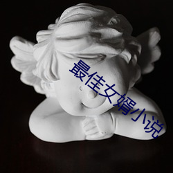 最佳(佳)女(女)婿小说(說)