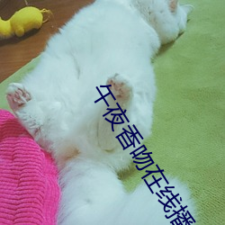 vwinӮ(й) - ٷվ