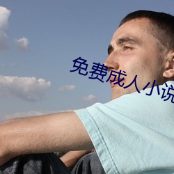 免费成人小说