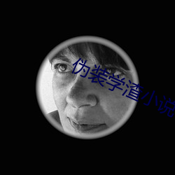 伪装学渣小(xiǎo)说