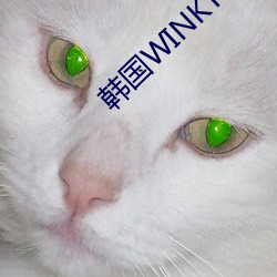 韓國WINKTV