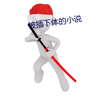 被插下体的小说