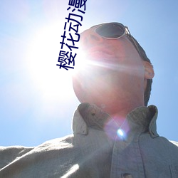樱花动漫入门