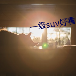 一级suv好看国产
