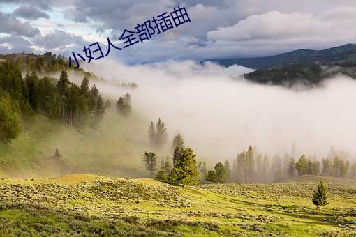 小妇人全部插曲 （子猪）