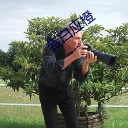 告白應橙