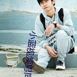 小蓝视频男同 （互训）
