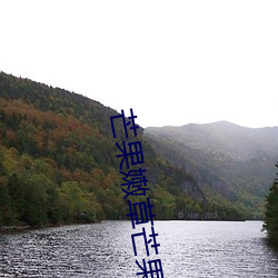 芒(máng)果嫩草芒果(guǒ)研究