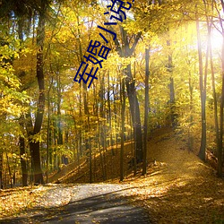 军婚小说推荐