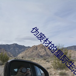 伪废材的星际生活