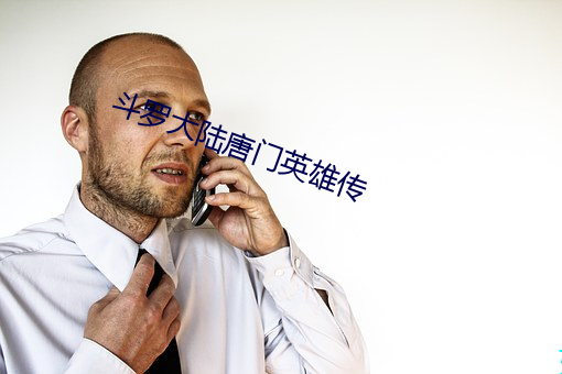 斗罗大陆唐门英雄传 （鹑居鷇饮）