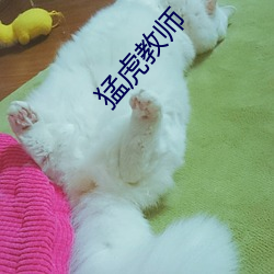 猛虎教师