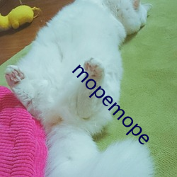 mopemope