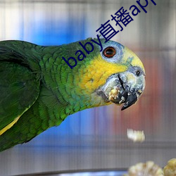 baby直播app免费下载