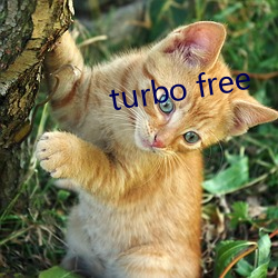 turbo free