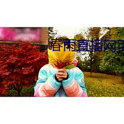 春雨直播网页版