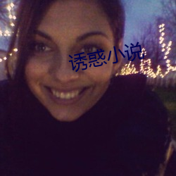 诱惑(hu)小(xio)说